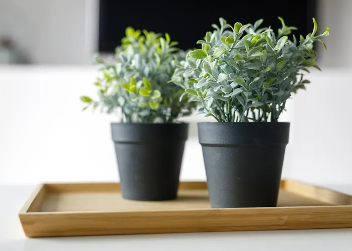 דירה K39 Deluxe By Uniquerent ורוצלב