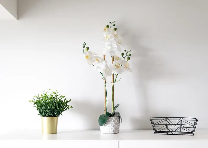 K39 Deluxe By Uniquerent *