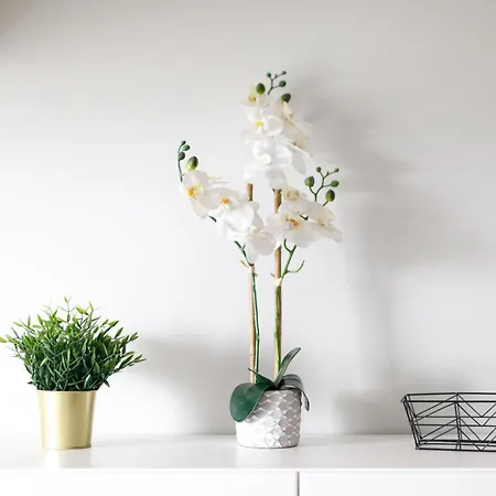 K39 Deluxe By Uniquerent *