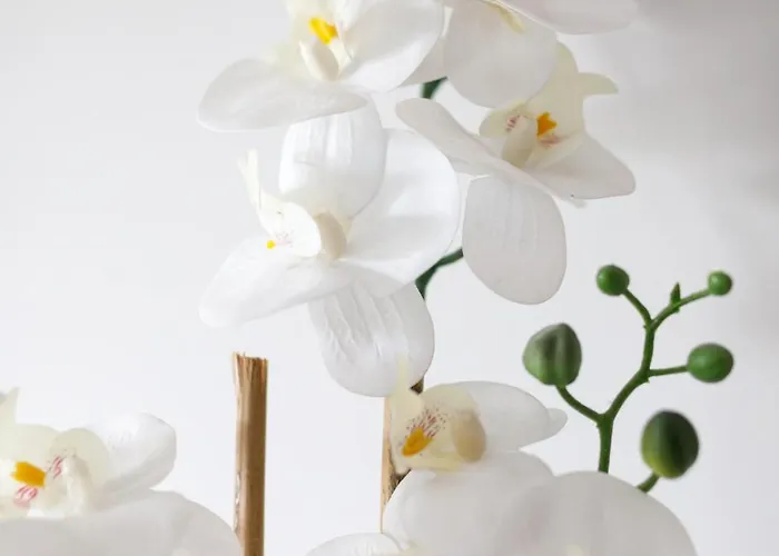 K39 Deluxe By Uniquerent דירה